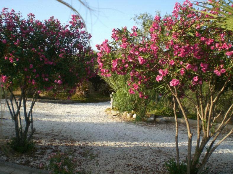 Casas Rurales Cortijo Torreblanca Parque Cabo De Gata 엘 포소 데 로스 프라일레스 외부 사진