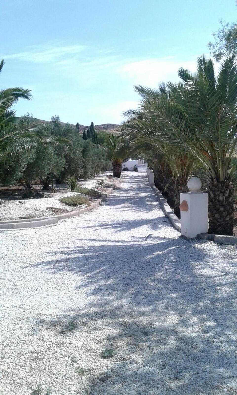 Casas Rurales Cortijo Torreblanca Parque Cabo De Gata 엘 포소 데 로스 프라일레스 외부 사진