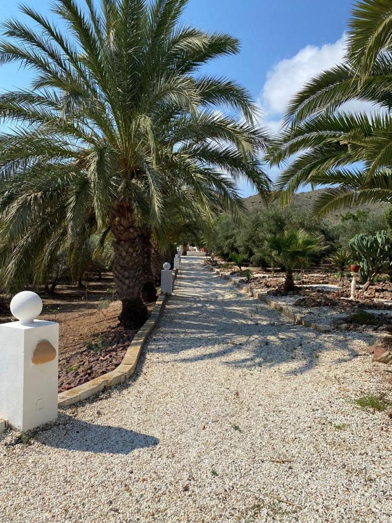 Casas Rurales Cortijo Torreblanca Parque Cabo De Gata 엘 포소 데 로스 프라일레스 외부 사진