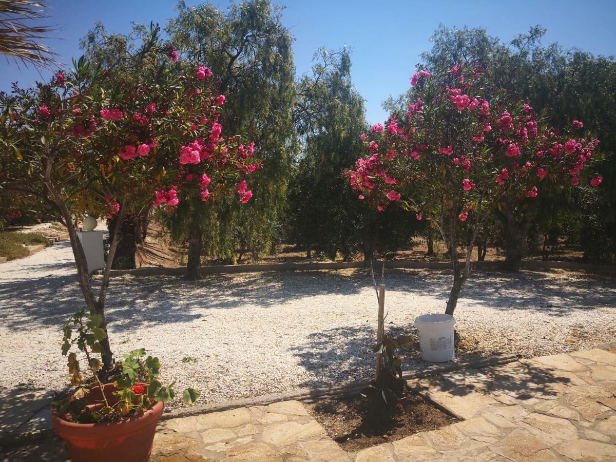 Casas Rurales Cortijo Torreblanca Parque Cabo De Gata 엘 포소 데 로스 프라일레스 외부 사진
