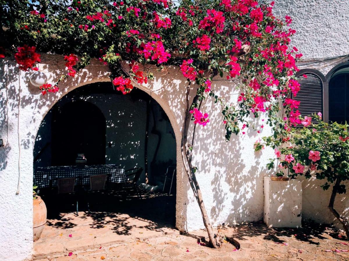 Casas Rurales Cortijo Torreblanca Parque Cabo De Gata 엘 포소 데 로스 프라일레스 외부 사진